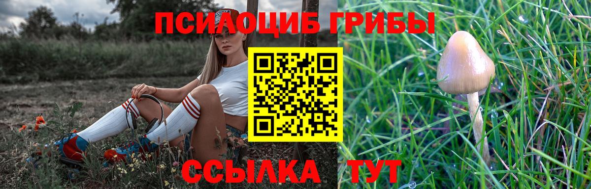 Псилоцибиновые грибы мухоморы Мурино