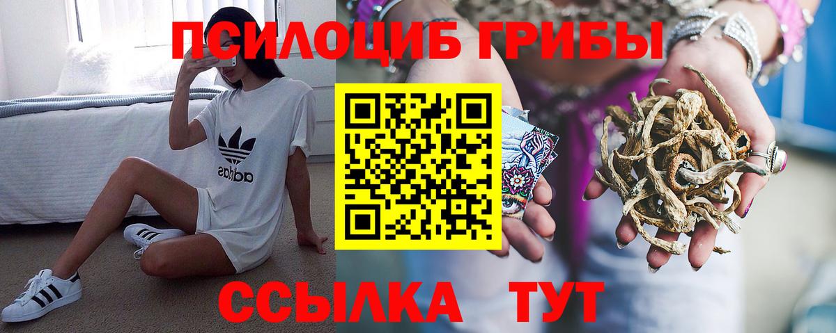Псилоцибиновые грибы Magic Shrooms  Вход с VPN  Мурино  Галлюциногенные грибы ЛСД 