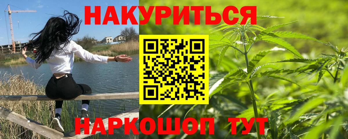 Марихуана конопля Мурино